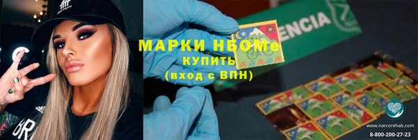прущие грибы Алзамай