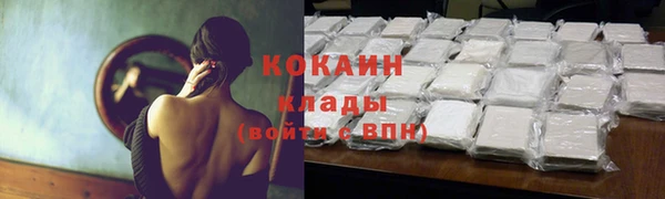 индика Абинск